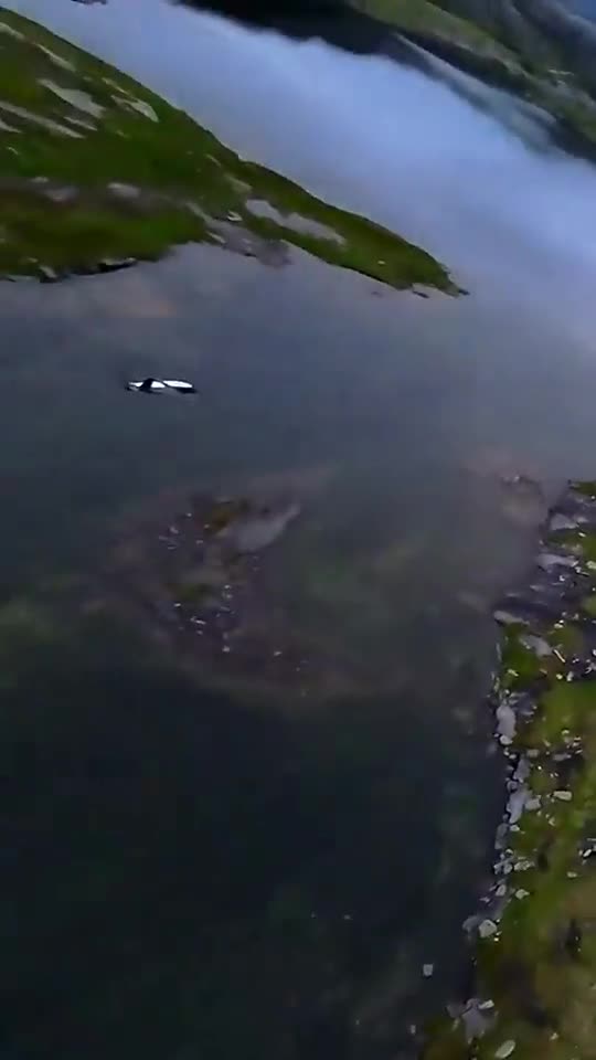 YouTube Shorts FPV clip poster